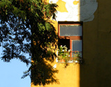 Affacciati alla finestra