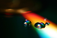 Drop down