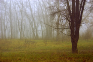 Winter of our discontent