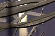 Behind bars