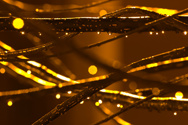 Sparkle