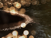 Dazzle