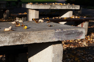 Still going strong