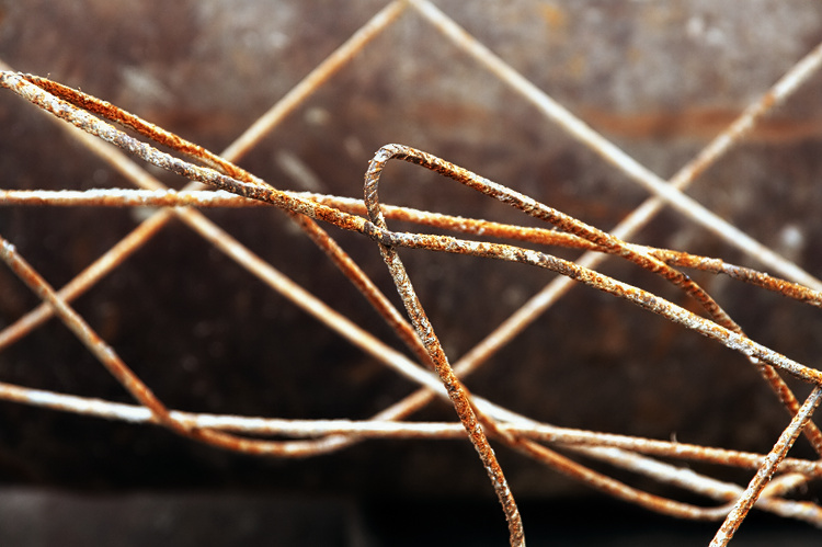 Entangled in freedom
