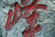 Stone forest