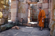 Compassion