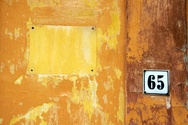65