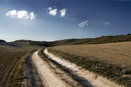 A road less travelled
