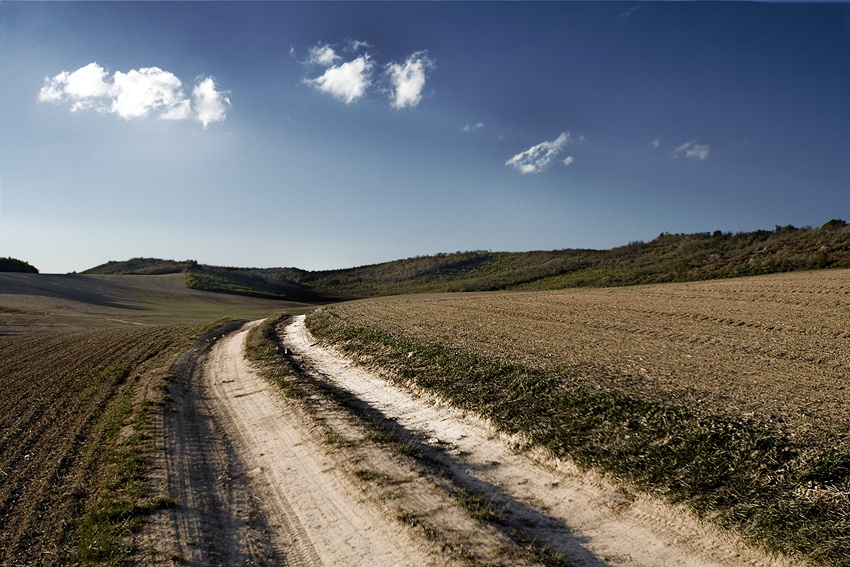 A road less travelled