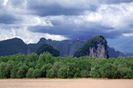 The Tiger cave temple