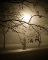 Fog, revisited