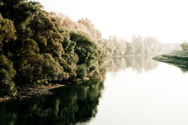 For time is a river