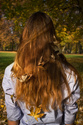 Autumn in the park