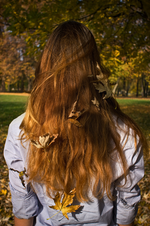 Autumn in the park