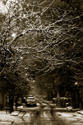 More winter than last time