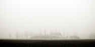 Fog