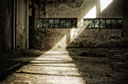 Lightscape
