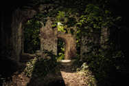 Sylvan
