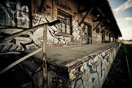 Urban jungle 2.