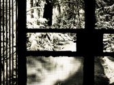 The cubist's winter