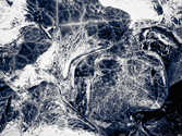 Ice Age